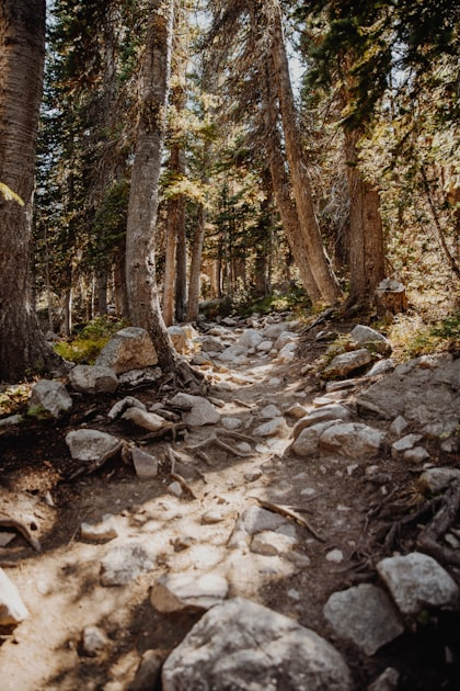 Enjoy Outdoor Recreation at South Huron