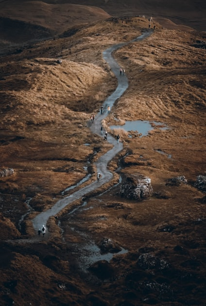 The Role of Community in Conservation